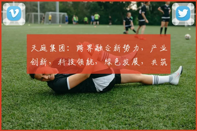 天庭集团：跨界融合新势力，产业创新，科技领航，绿色发展，共筑美好未来，三步走战略
