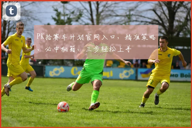 PK拾赛车计划官网入口，精准策略，必中秘籍，三步轻松上手